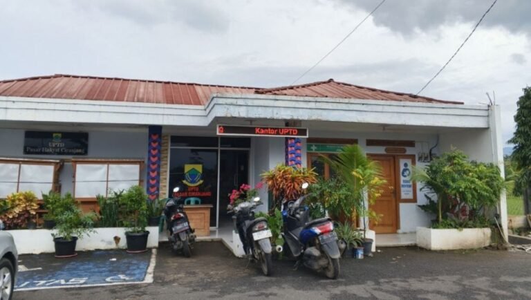 1768232486877_1768232515000