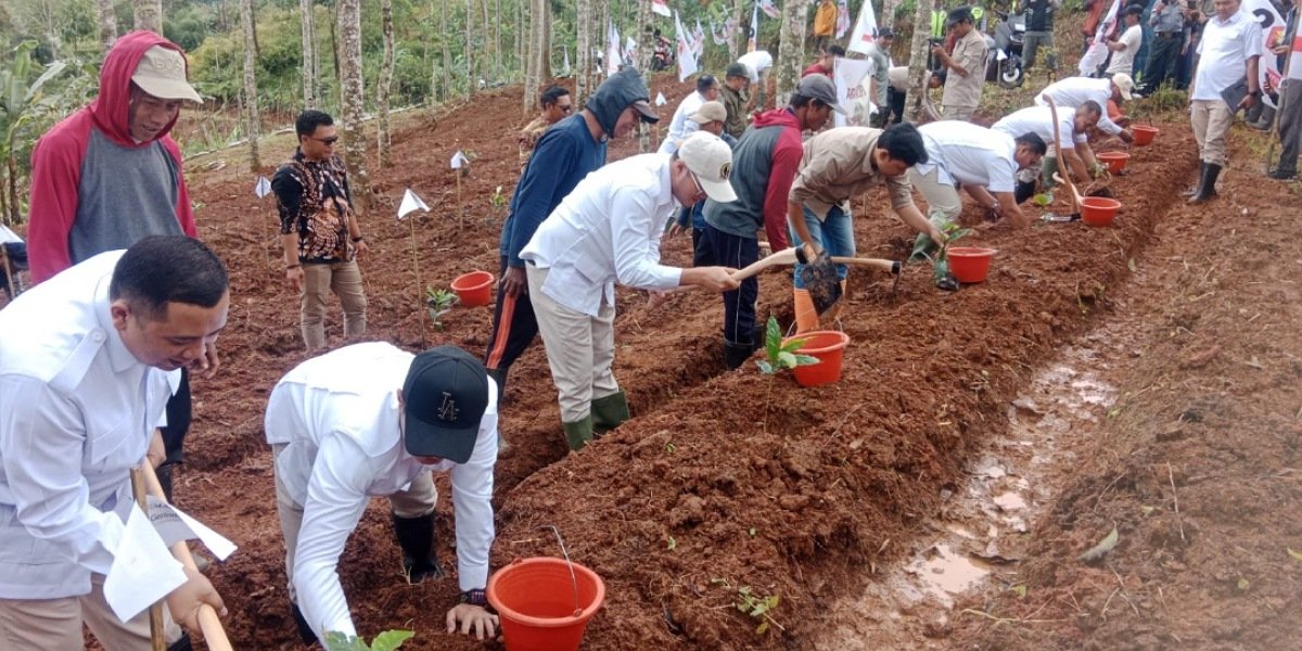 Gerindra Cianjur Jalankan Instruksi Presiden, Tanam 1.300 Pohon Ketahanan Pangan
