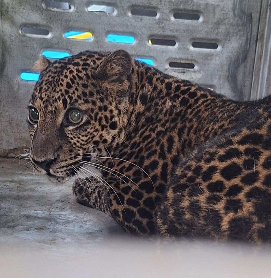 90628